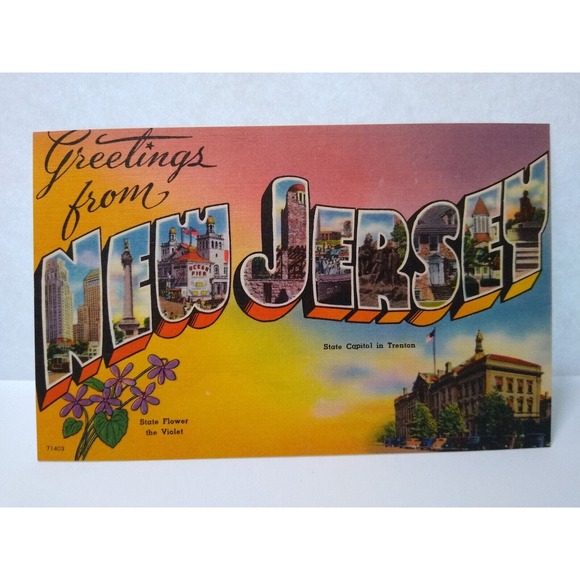 Greetings From New Jersey Large Letter Postcard Linen Violet State Flower Unused - Picture 1 of 2